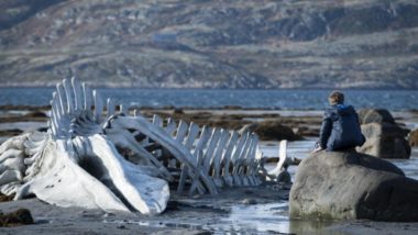 Reflexões sobre o Leviatã Cena de “Leviatã”, filme de Andrei Zvyagintsev.
