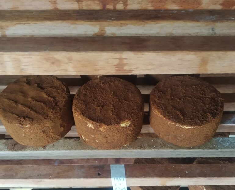 Maná Concafé: queijo premiado na França.