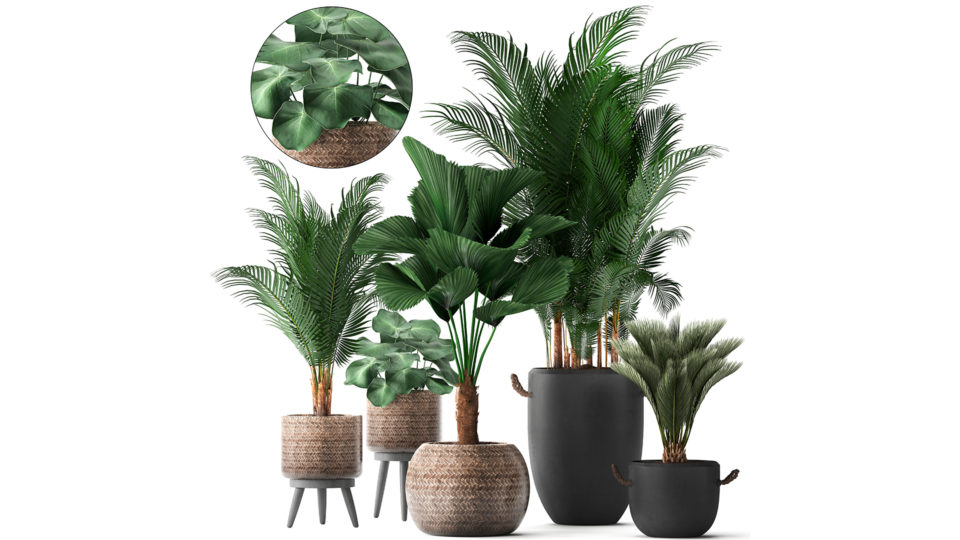 Entre as vantagens de um projeto de jardinagem com plantas artificiais estão a adaptação a qualquer ambiente e a facilidade de manutenção. 