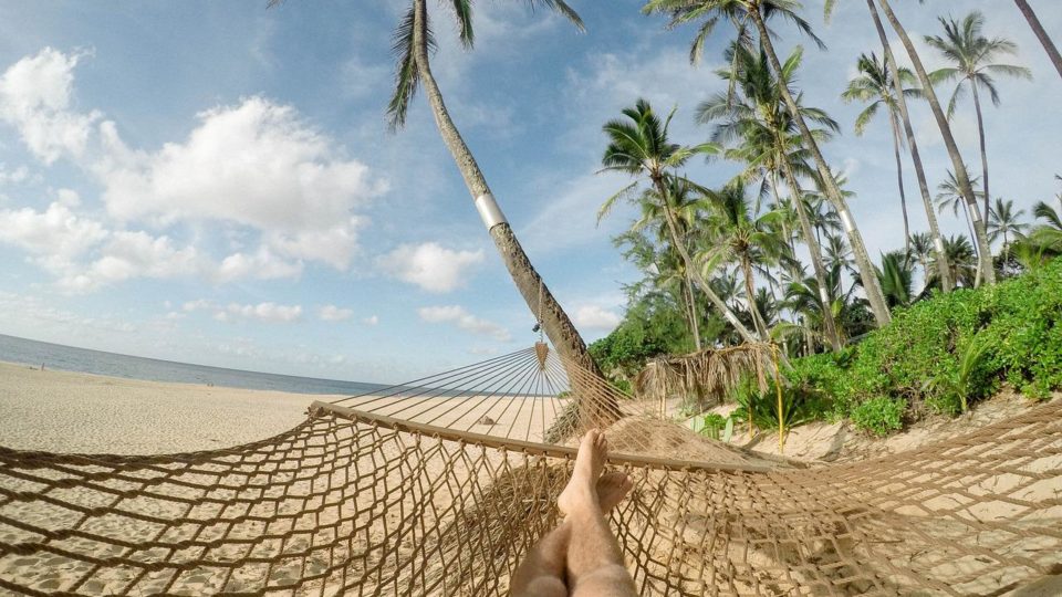 Minhas férias, ou: A CLT fascista me obrigou a contemplar a vida de longe Vai começar tudo de novo e, no entanto, tudo nunca acabou nem foi interrompido.