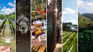 Conheça 6 vinícolas próximas a Curitiba para curtir no final de semana Conheça 6 vinícolas próximas a Curitiba para curtir no final de semana