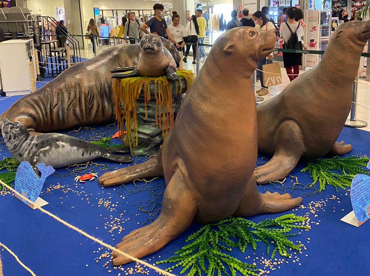 Imagem referente a matéria