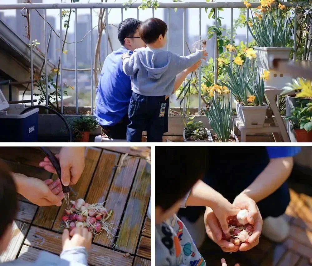 Bóralá fazer parte dessa comunidade de fazendeiros urbanos que trazem para a rotina de crianças e adultos o respeito pela história, pelo plantar e colher, pelo agricultor, pela comida fresca que chega no prato Bóralá fazer parte dessa comunidade de fazendeiros urbanos que trazem para a rotina de crianças e adultos o respeito pela história, pelo plantar e colher, pelo agricultor, pela comida fresca que chega no prato