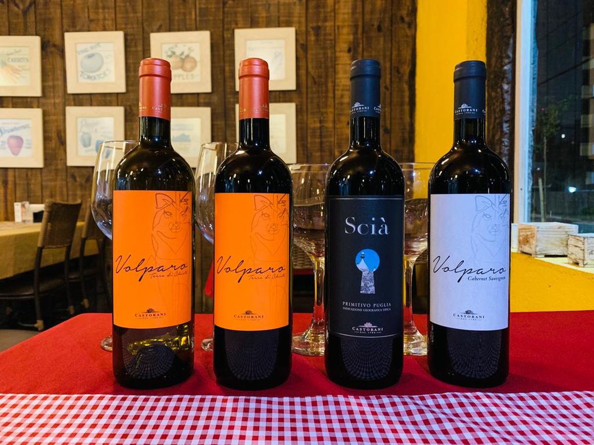 Vinhos Fórmula 1 Vinhos Fórmula 1
