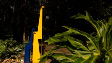 Ópera de Arame recebe Exposição Jardim Sensorial Exposição Jardim Sensorial