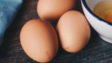 Como saber se o ovo está bom? Especialistas dizem se testes funcionam Como saber se o ovo está bom? Especialistas dizem se testes funcionam