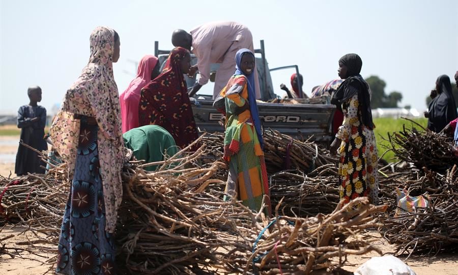 Mulheres coletam lenha para cozinhar em Maiduguri, no estado de Borno, no nordeste da Nigéria, em fevereiro de 2022.