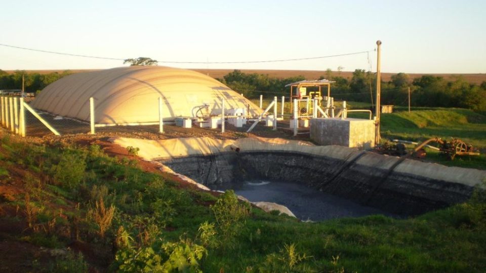 Biodigestores transformam dejetos de animais em energia.