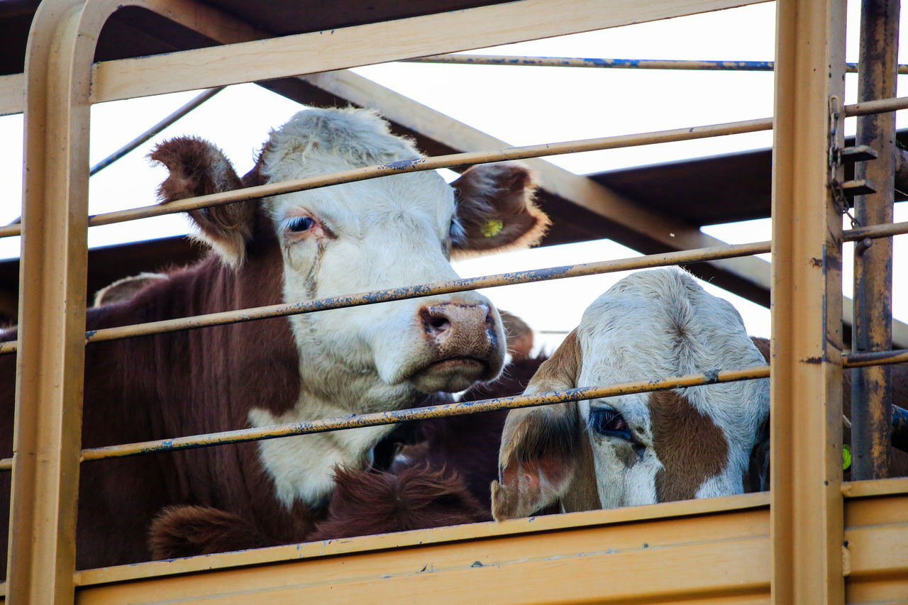 O Paraná registrou em 2020 a maior participação no PIB nacional das duas últimas décadas, ultrapassando o Rio Grande do Sul.