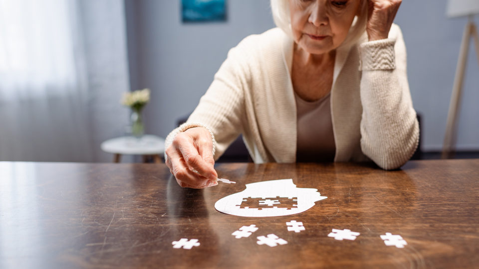 Senhora idosa se concentra na resolução de um quebra-cabeças do cérebro, representação artística do mal de Alzheimer