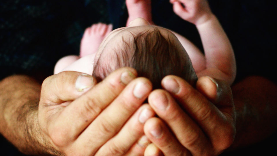 Aborto em SC: IBDR divulga nota favorável à atuação de juíza e questiona parecer do MPF