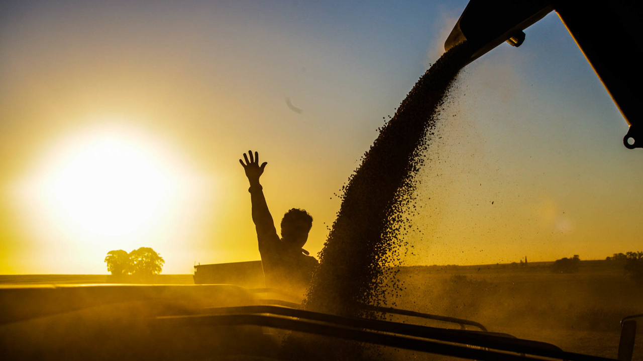Agronegócio é uma das áreas mais promissoras no mercado de trabalho.
