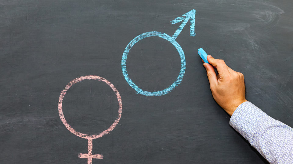 Professor desenha símbolos dos sexos masculino e feminino na lousa