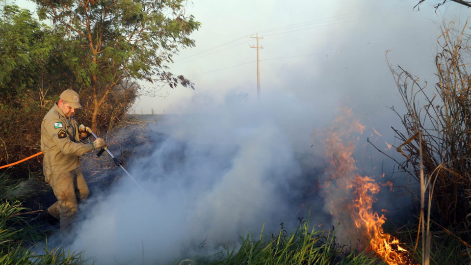 Segundo o Corpo de Bombeiros do estado, 9 em cada 10 incêndios são provocados por irresponsabilidade humana