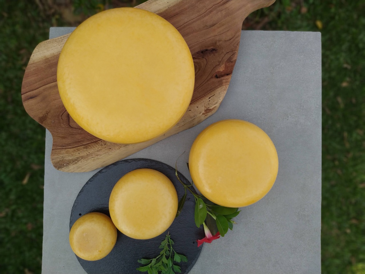 Queijos do tipo gouda produzidos pela Queijaria Cornelia: Primeiro lugar em duas categorias.
