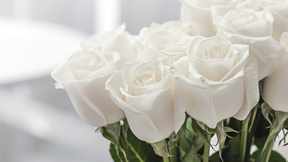 Rosas