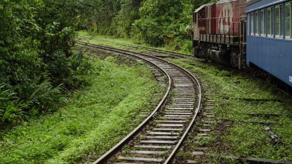 Empresas que priorizam a agenda socioambiental procuram investir em iniciativas como compra de créditos de carbono.