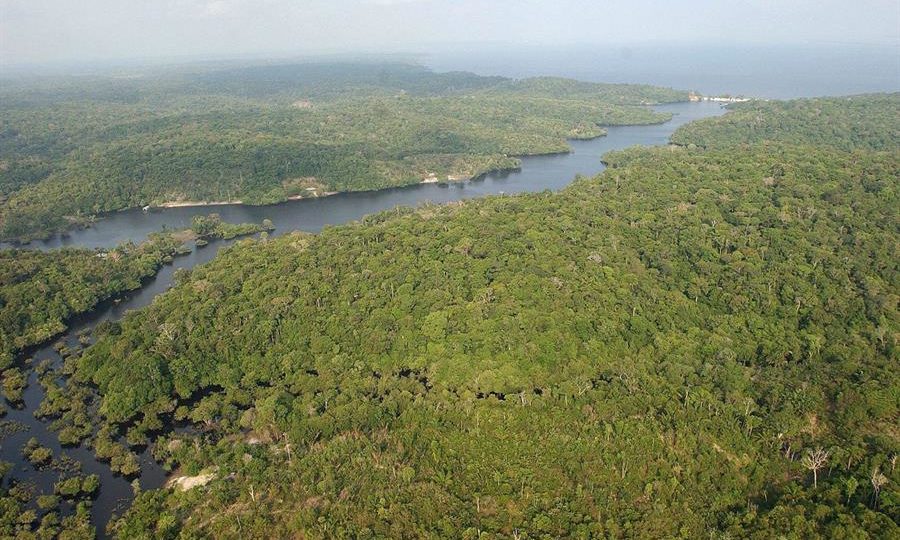 Vista da Floresta Amazônica Brasileira, em 2003