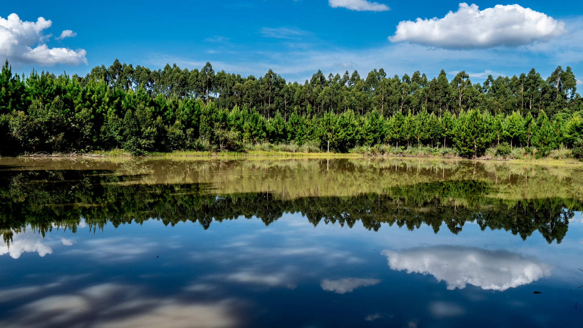 Todo o trabalho da Portobello na extração de matéria-prima é movido pela sustentabilidade: após a exploração superficial da jazida, a área é totalmente recuperada, voltando a sua vocação inicial.