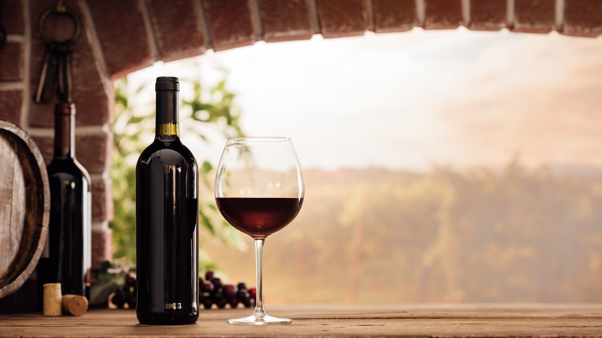 A região sul é a melhor do Brasil para o cultivo e produção de vinhos