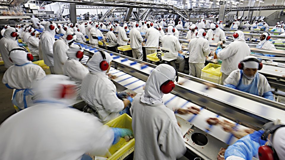 O Brasil que temos e o que queremos ou merecemos: um balanço de 2025