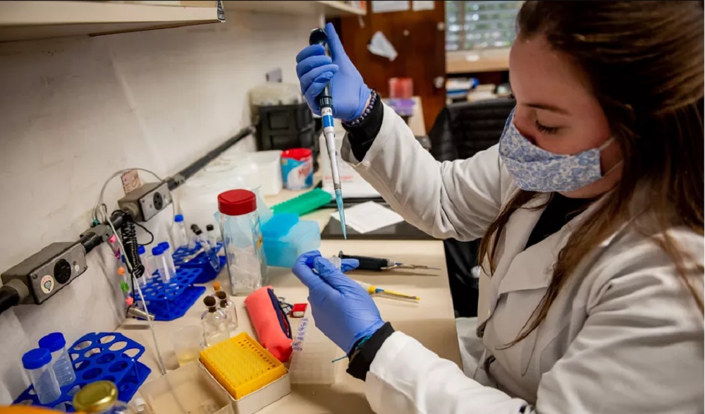 Vacina da UFPR ainda depende da autorização da Anvisa para entrar em fases clínicas.