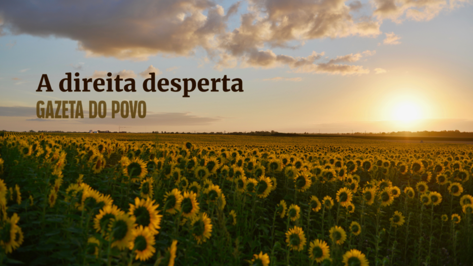 A direita desperta