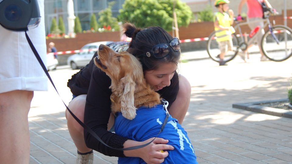 Cães de assistência poderão entrar no transporte coletivo em Curitiba.