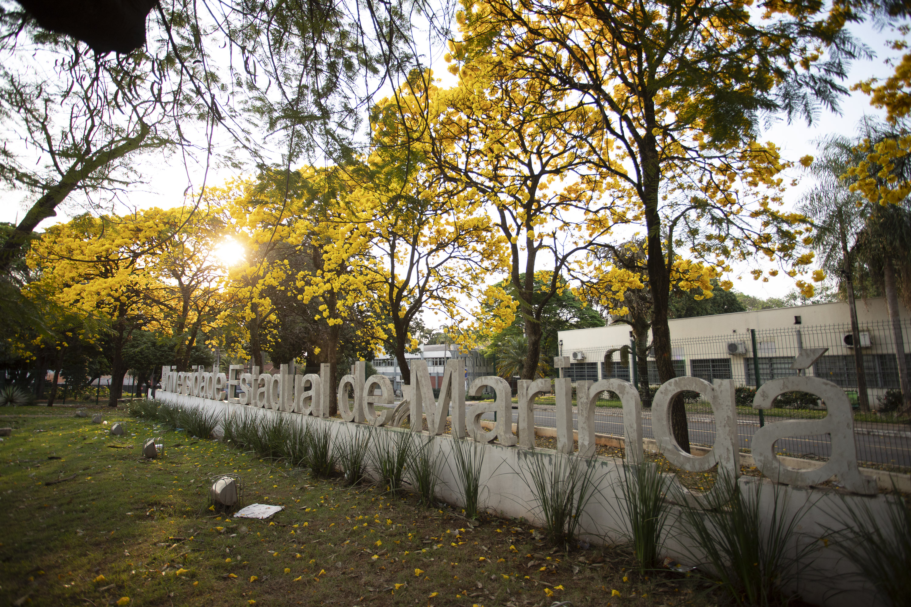 A UEM é uma das universidades estaduais do Paraná que avançou cinco posições em relação ao ranking anterior da Times Higher Education (THE).