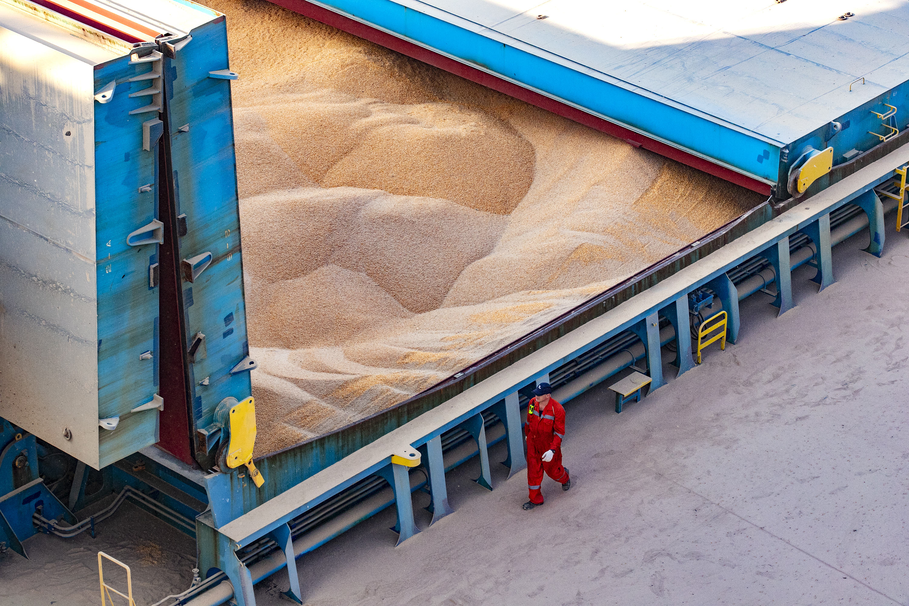 Exportação de milho pelo Porto de Paranaguáao