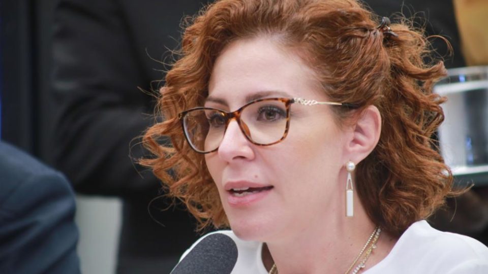 Deputada federal Carla Zambellli (PL/SP)