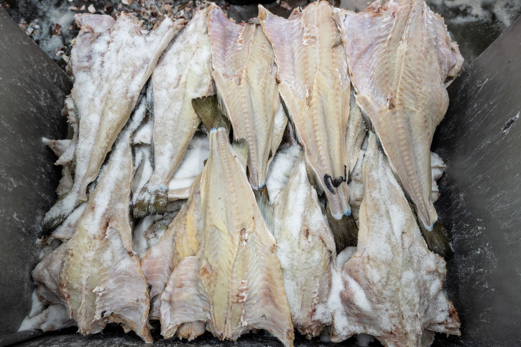 Trabalho, tradição, sal e frio estão na construção do sabor do bacalhau da Noruega.