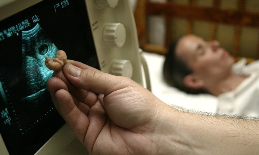 Dados refutam alegações de que legislação pró-vida não tem efeito, porque mulheres podem viajar para abortar