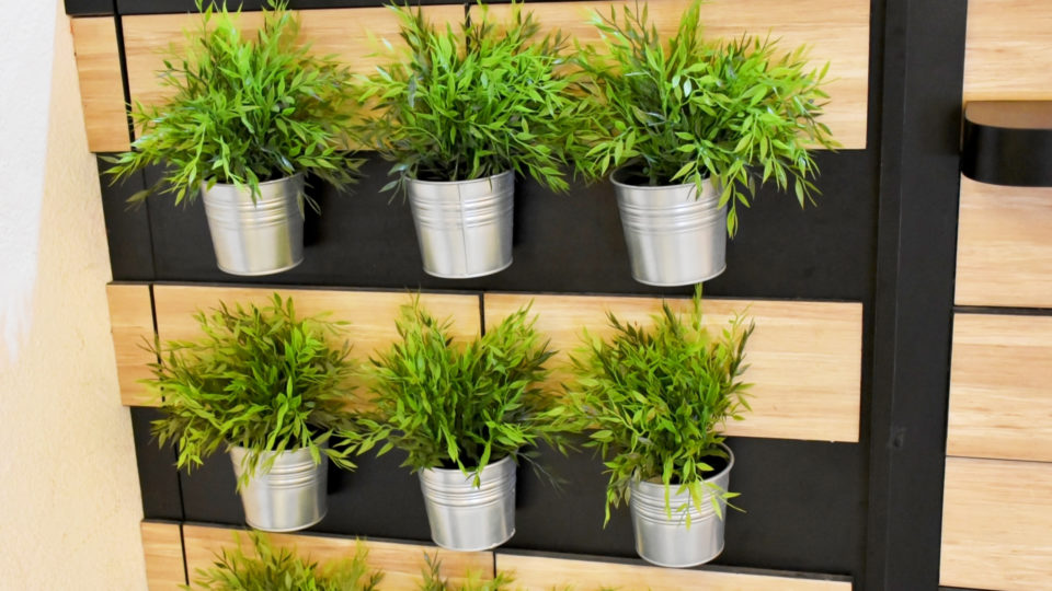 Com um jardim vertical na sacada, você pode ter temperos frescos todos os dias para cozinhar