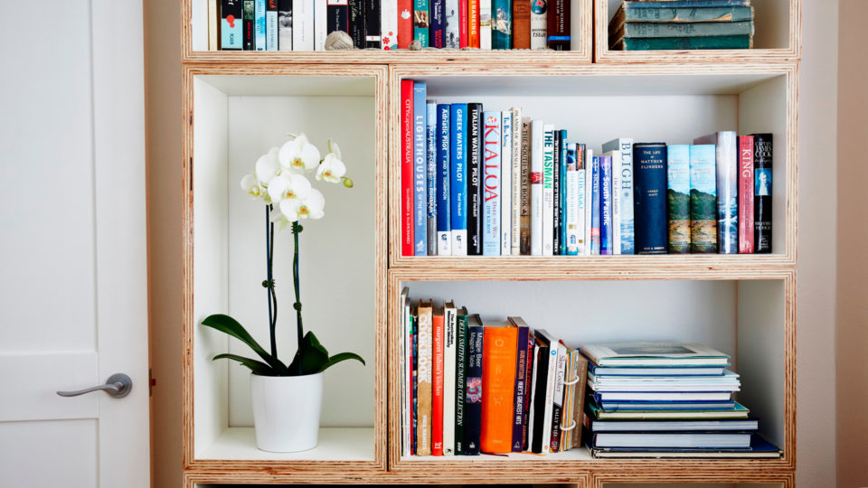 Plantas e livros criam uma harmonia decorativa para qualquer ambiente.