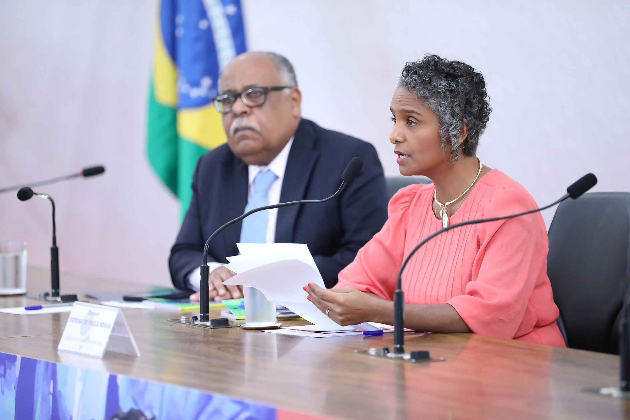 TSE cria lista de palavras a serem banidas do vocabulário por supostamente serem racistas