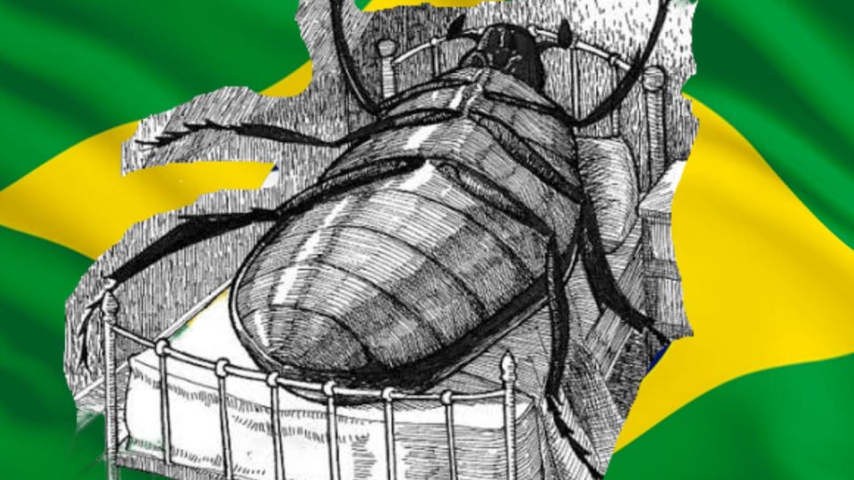 Kafka Metamorfose Brasil
