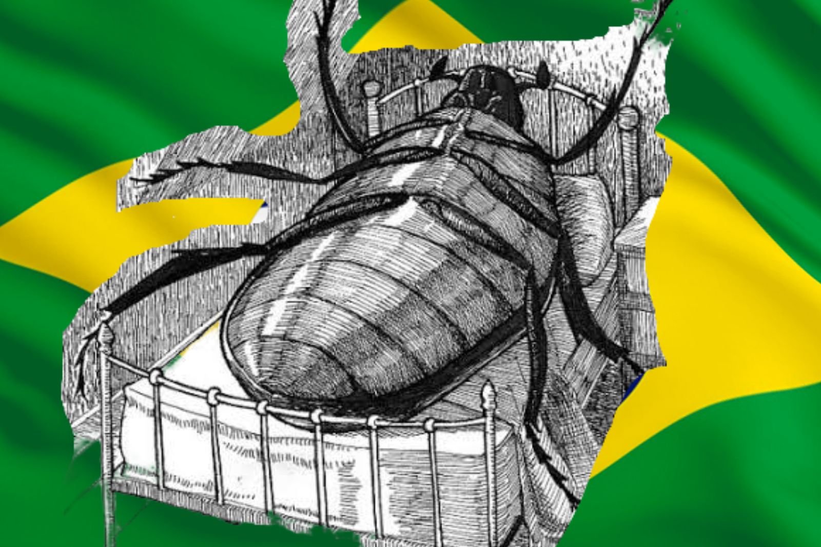 Kafka Metamorfose Brasil