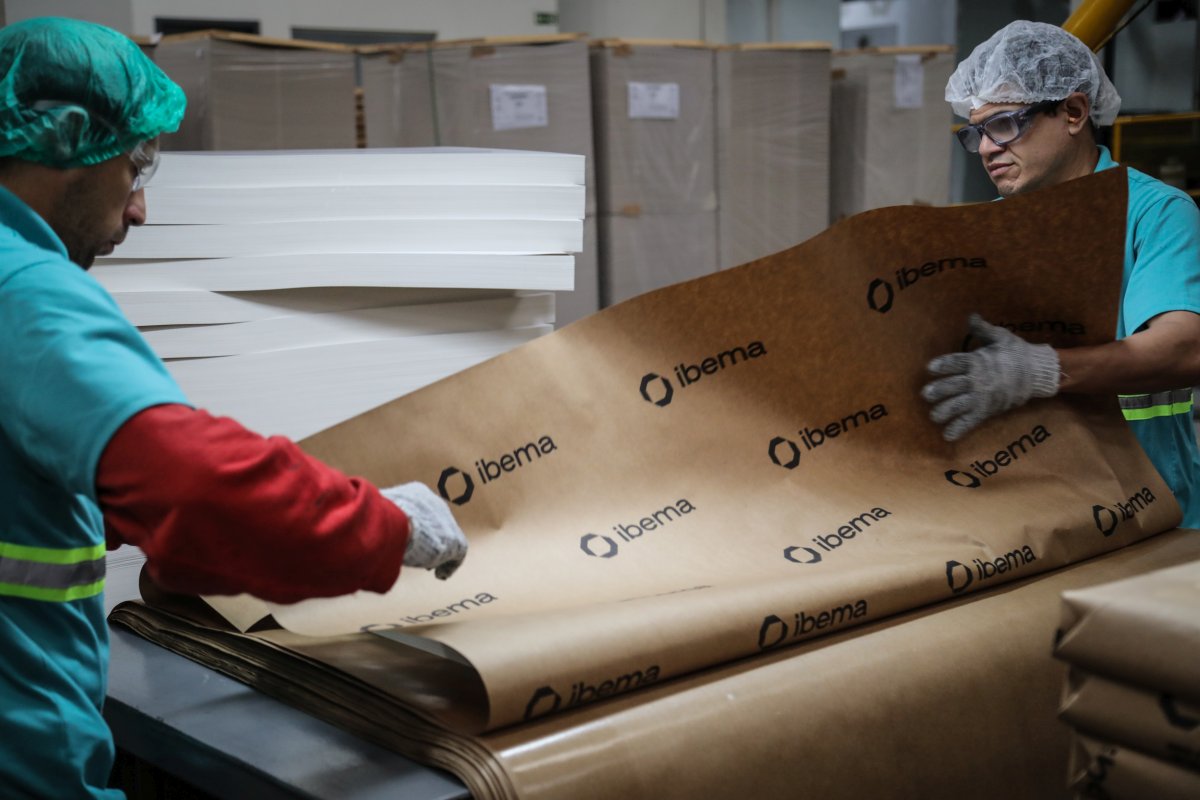 Ibema tem fábricas em Turvo e Embu das Artes.