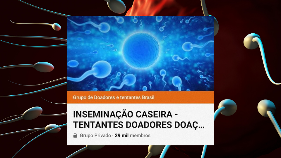 Montagem grupo Inseminação caseira