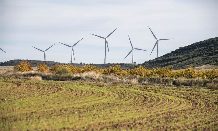 Turbinas eólicas na Espanha: uma única unidade de produção de energia a partir do vento, com 32 turbinas, que opera em Navarra, tem abatido um abutre a cada três dias, em média, desde que as operações tiveram início, em 2019