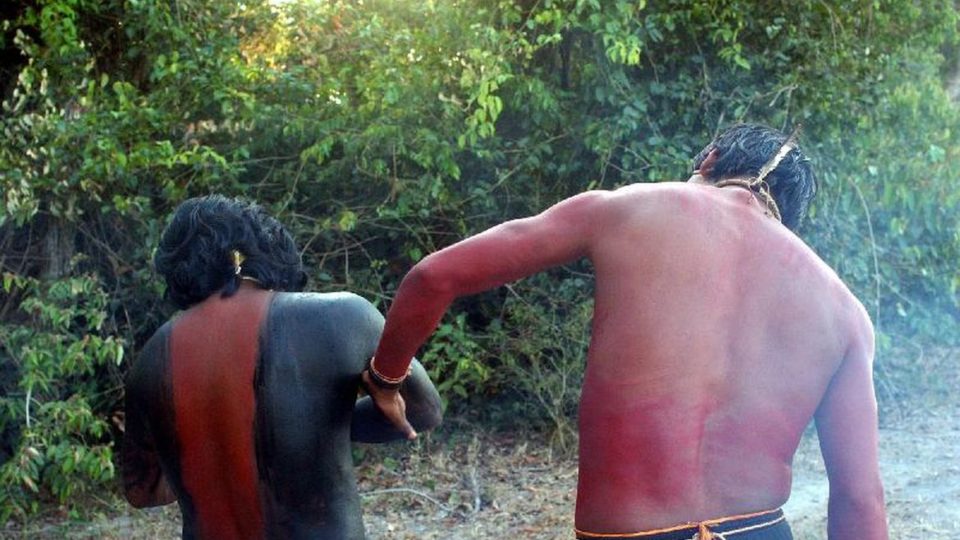 No Brasil de hoje, colonizado pelo progressismo, deseja-se impor aos índios um estado pré-cabralino