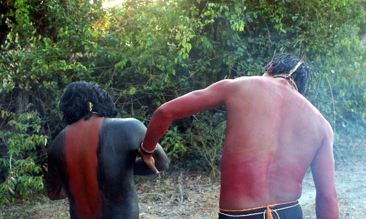 No Brasil de hoje, colonizado pelo progressismo, deseja-se impor aos índios um estado pré-cabralino