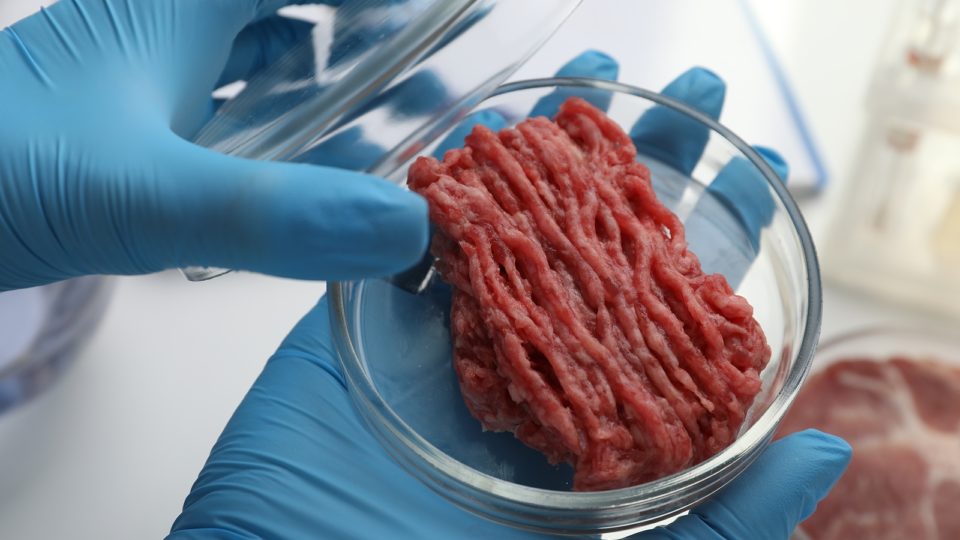 Enquanto tentam resolver o desafio da escalabilidade do produto, as empresas planejam convencer o mercado consumidor de que a carne artificial é mais ecológica e ética do que a tradicional