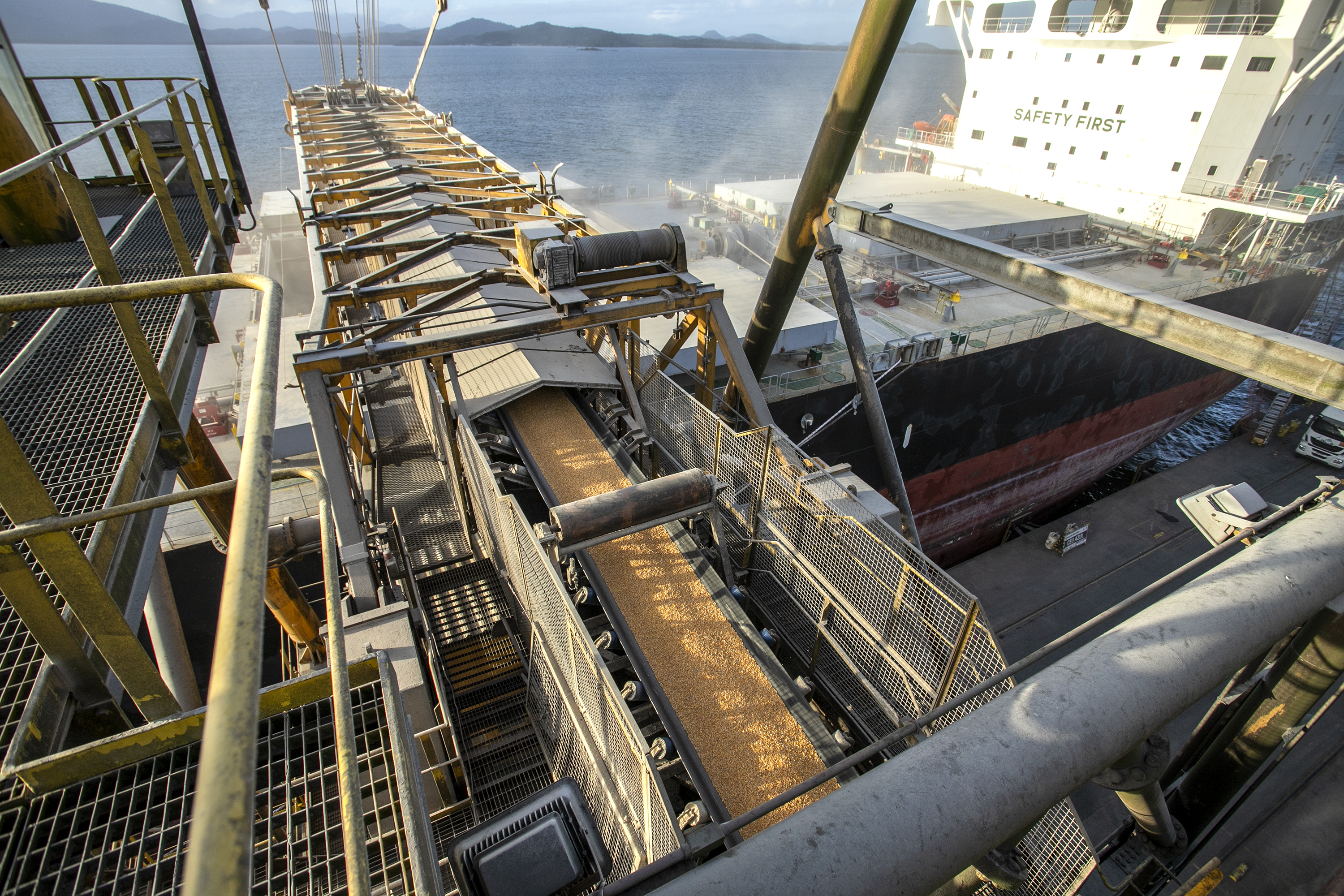 Exportação de milho bate recorde e acende sinal de alerta no setor de carnes