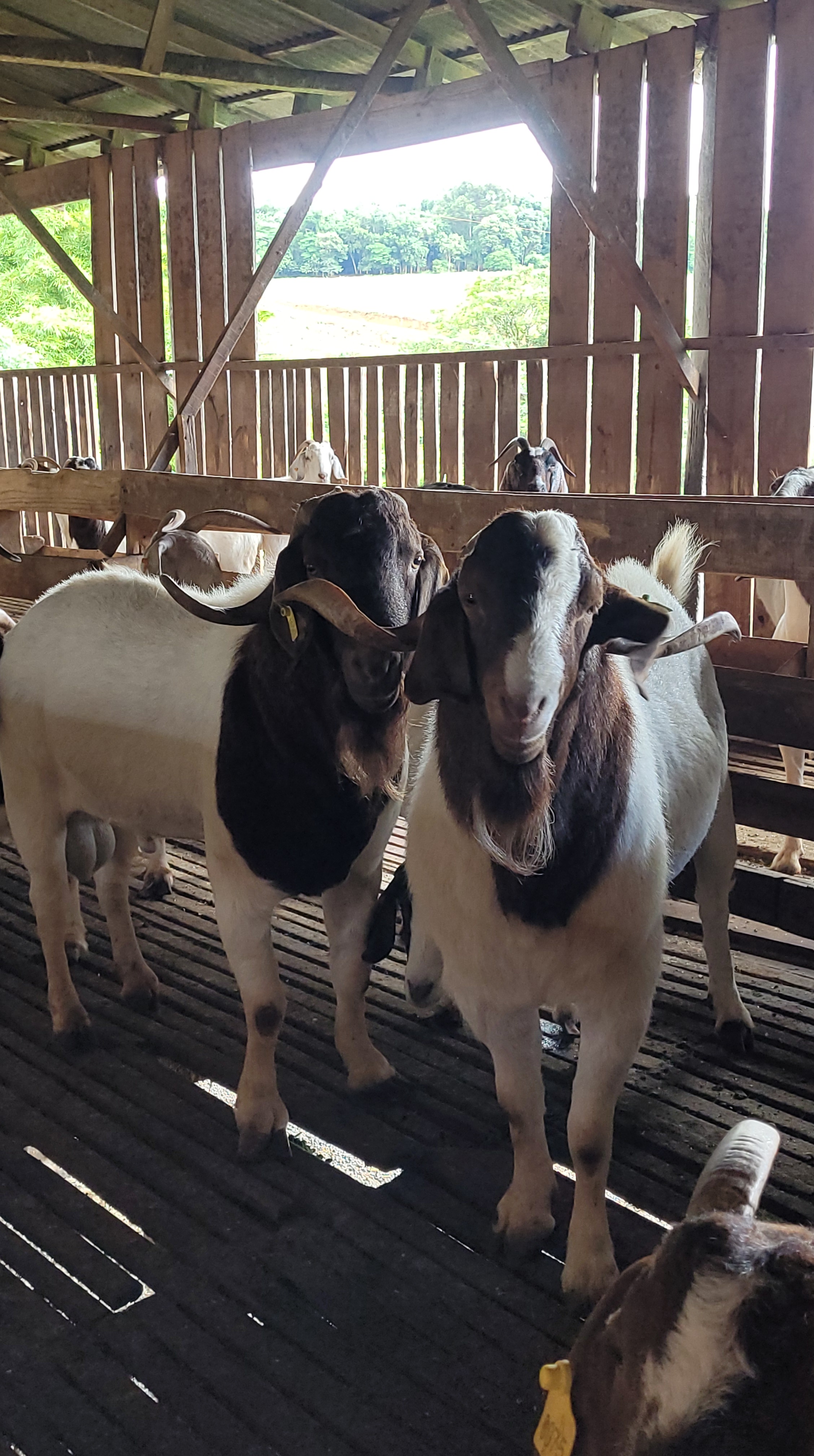 Imagem referente a matéria