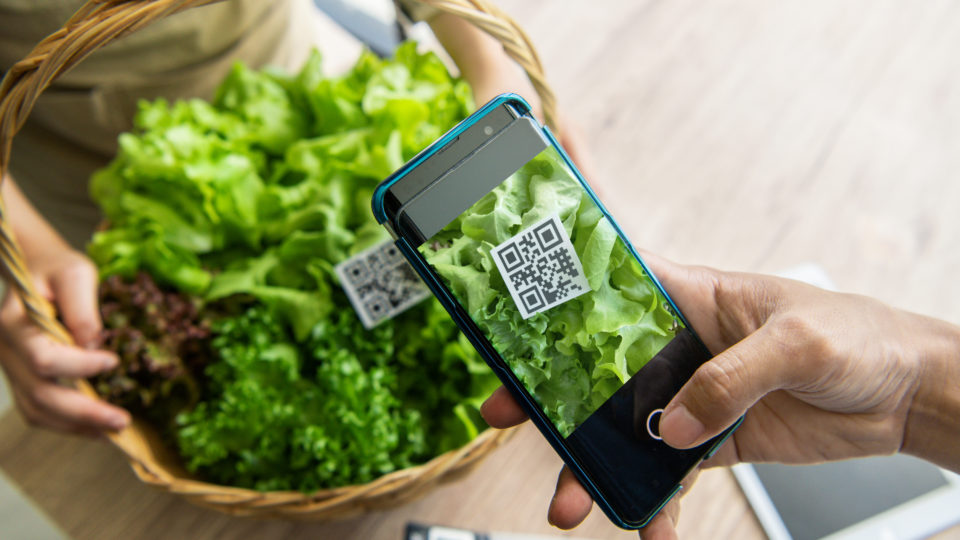 Canais digitais e ferramentas de automação usadas para digitalizar o negócio melhoram a experiência dos clientes
