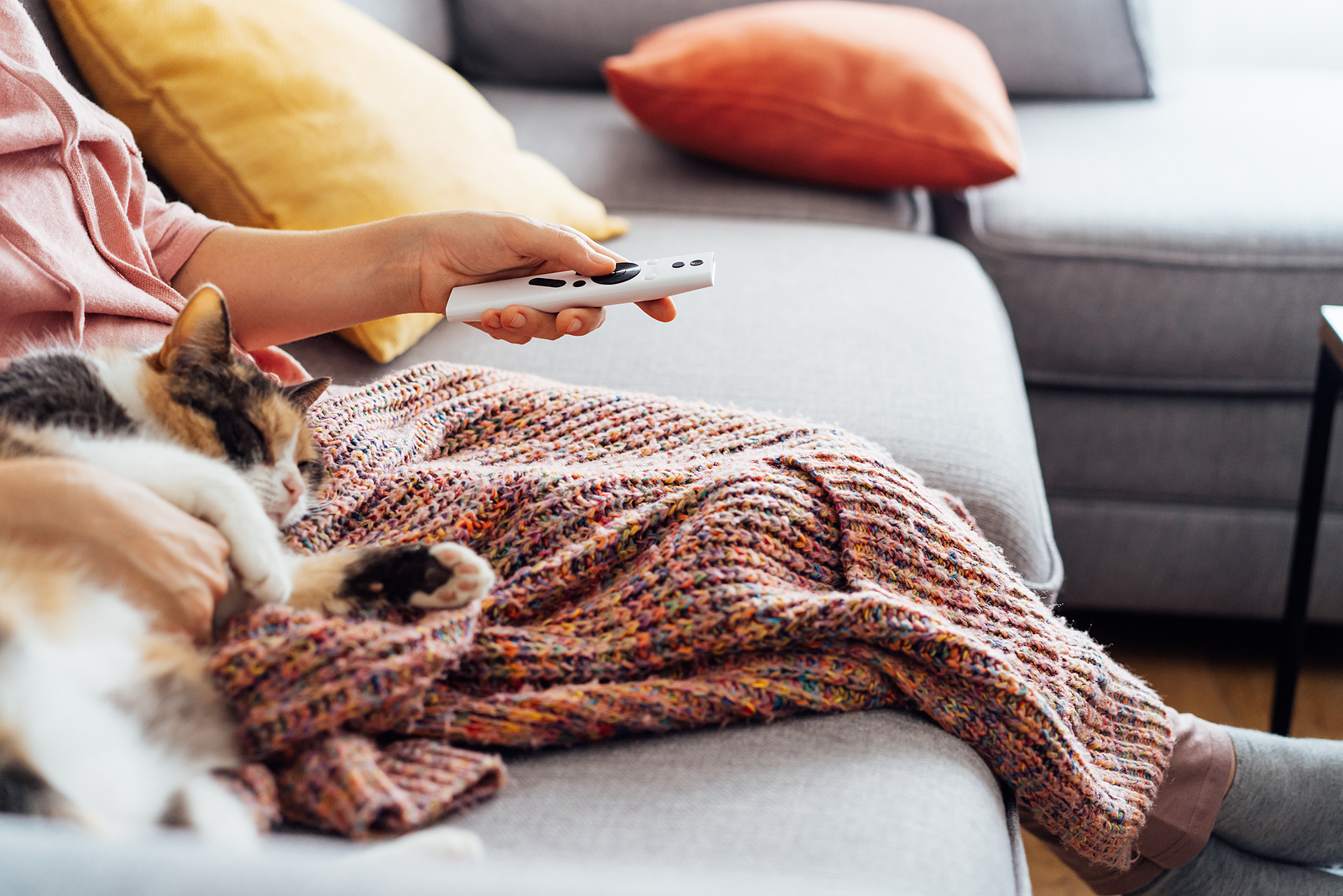 Confira a lista de filmes que o Bom Gourmet preparou para quem é do bloco do sofá neste feriadão.