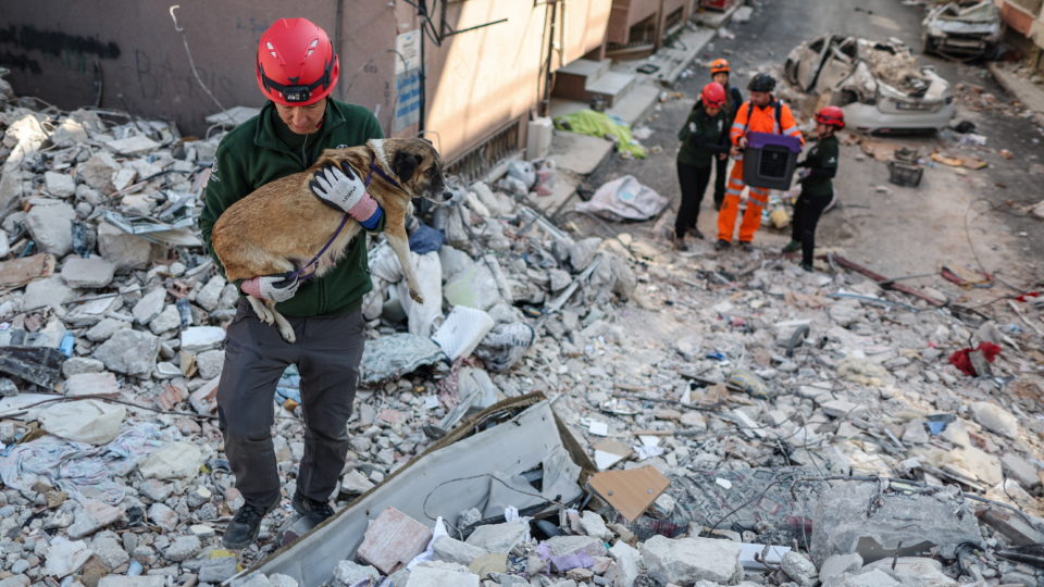 Novos tremores deixaram 6 mortos e 294 pessoas feridas na região sudeste da Turquia.