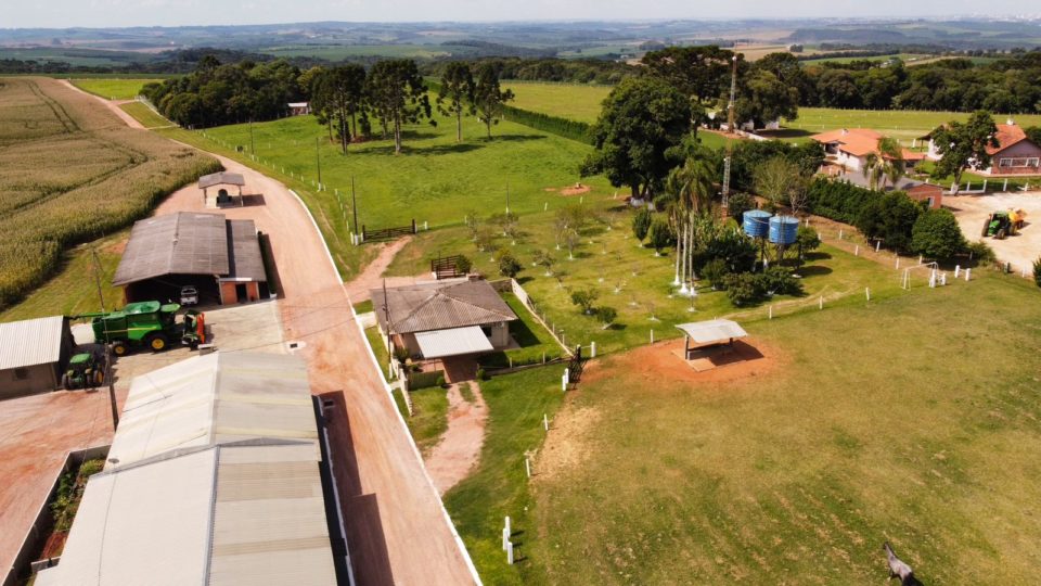 Fazenda paranaense é certificada por soja sustentável.